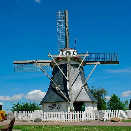 Muschel ヴェルドゥム