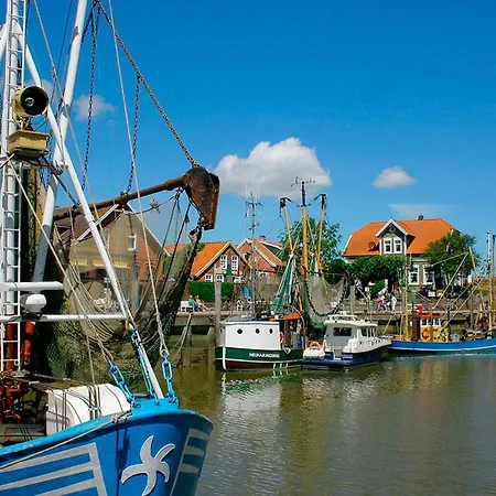 Muschel Διαμέρισμα *