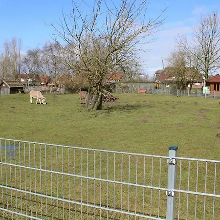 Apartamento Muschel