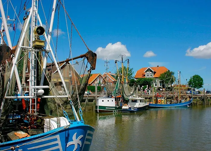 Muschel Διαμέρισμα *