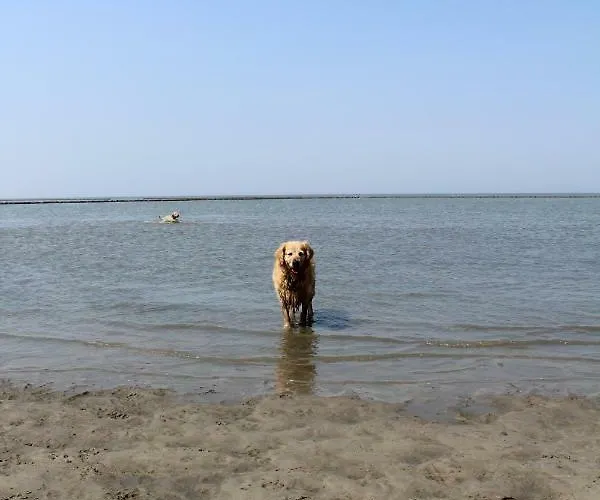 Διαμέρισμα Muschel