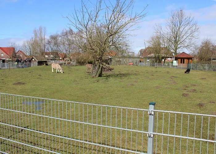 Διαμέρισμα Muschel